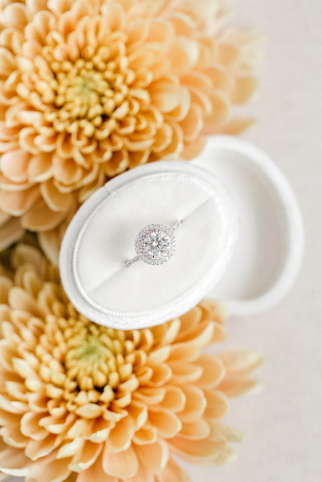 Ivory Velvet Horizontal Oval Ring Box